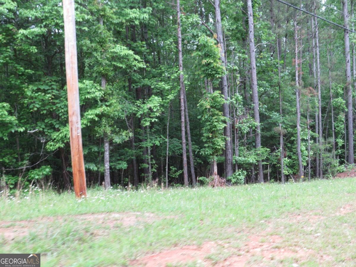 residential lot for sale at 0 Doke Cohran Road, Dallas, GA 30157 — photo 10