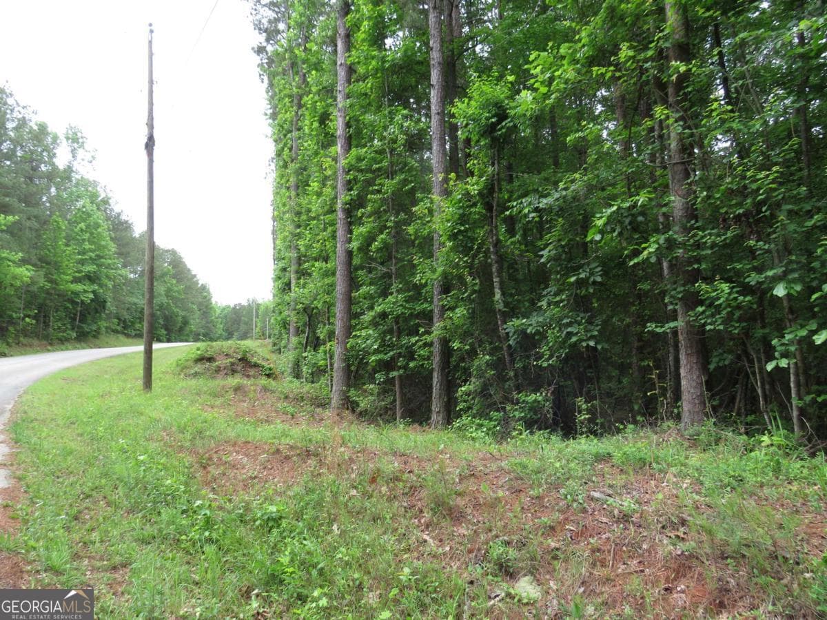 residential lot for sale at 0 Doke Cohran Road, Dallas, GA 30157 — photo 4