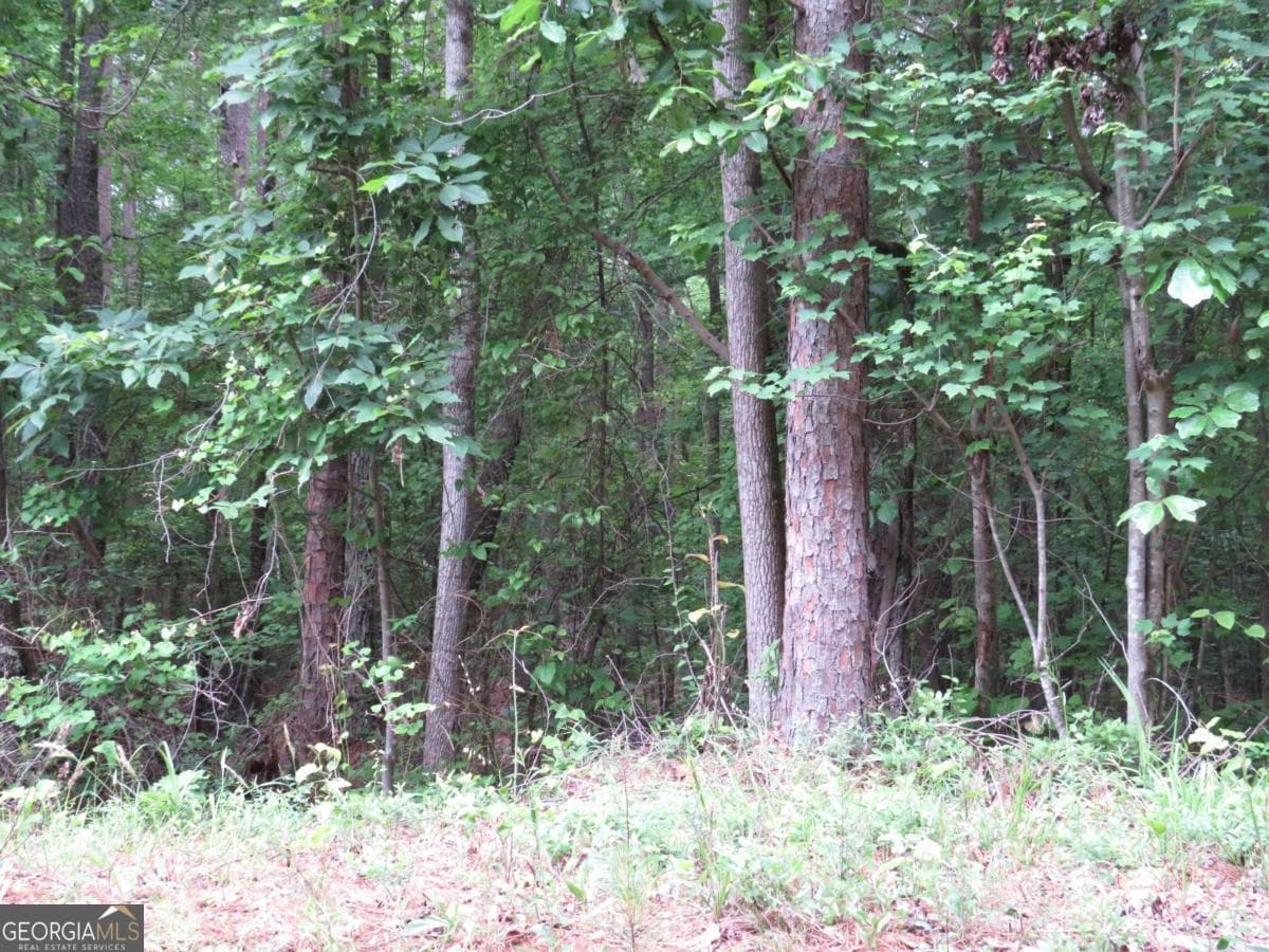 residential lot for sale at 0 Doke Cohran Road, Dallas, GA 30157 — photo 8
