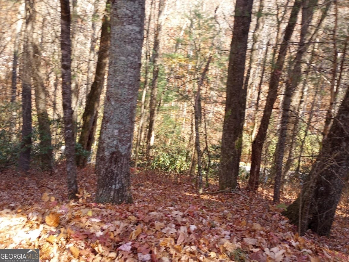 residential lot for sale at 0 Rebel Circle LOT 3, Sky Valley, GA 30537 — photo 6