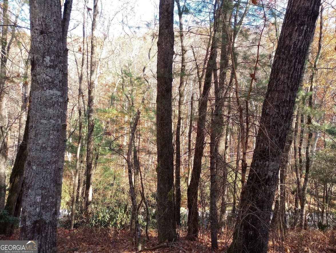 residential lot for sale at 0 Rebel Circle LOT 3, Sky Valley, GA 30537 — photo 7