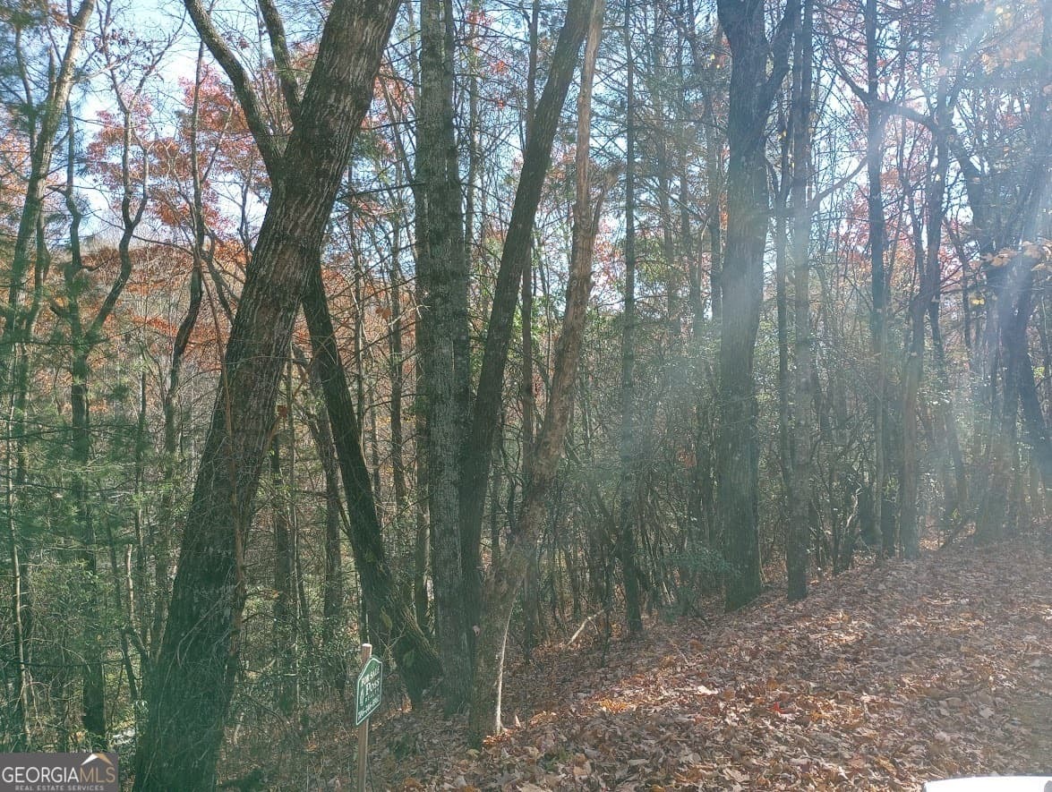 residential lot for sale at 0 Rebel Circle LOT 3, Sky Valley, GA 30537 — photo 3