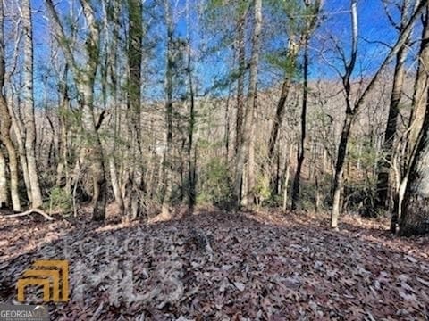residential lot for sale at 0 Rebel Circle LOT 3, Sky Valley, GA 30537 — photo 1 of 9