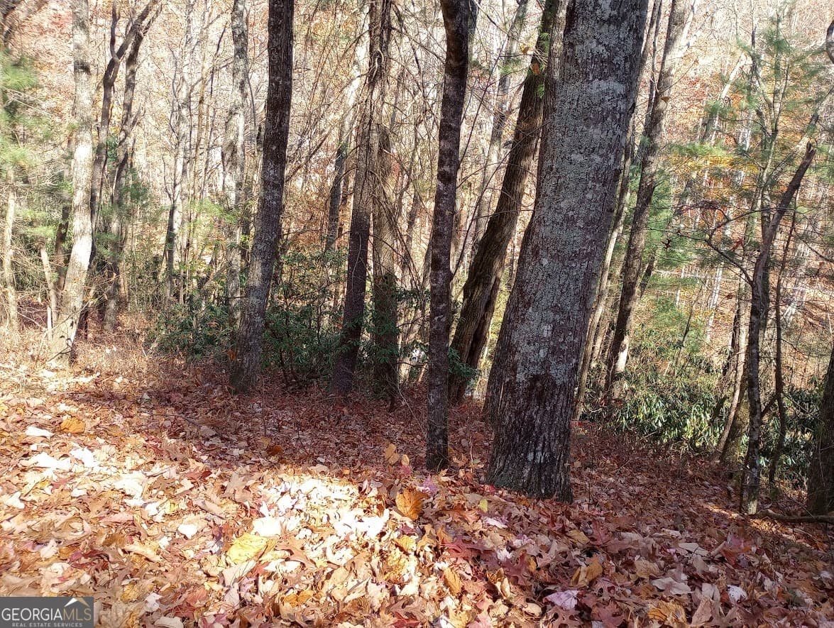 residential lot for sale at 0 Rebel Circle LOT 3, Sky Valley, GA 30537 — photo 5