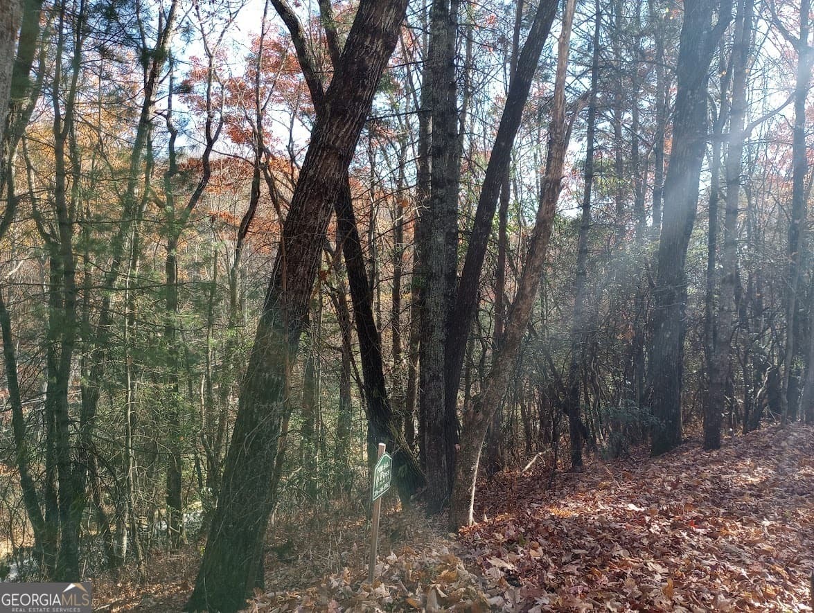residential lot for sale at 0 Rebel Circle LOT 3, Sky Valley, GA 30537 — photo 9