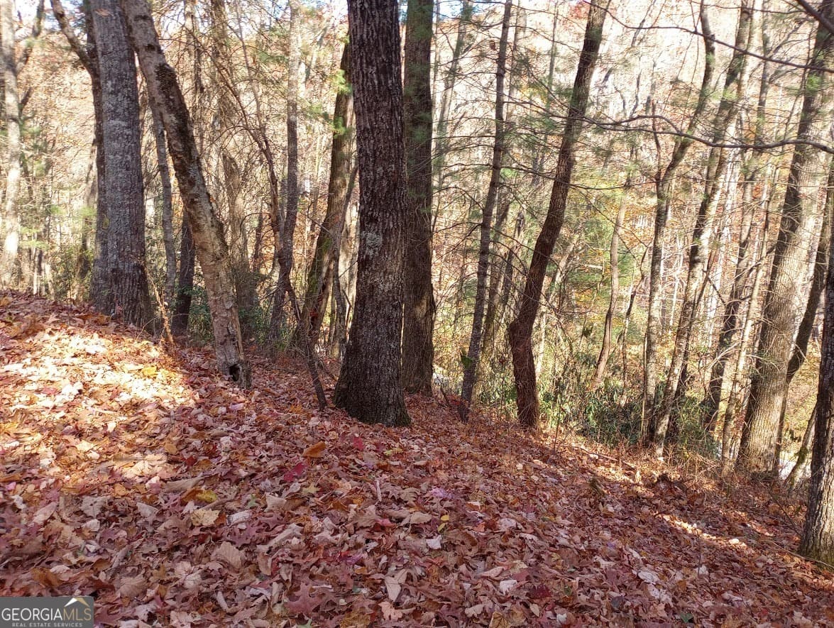 residential lot for sale at 0 Rebel Circle LOT 3, Sky Valley, GA 30537 — photo 4