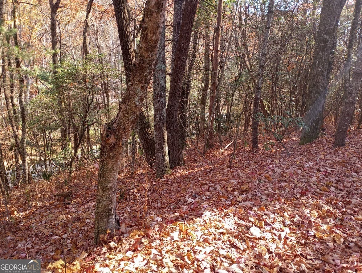 residential lot for sale at 0 Rebel Circle LOT 3, Sky Valley, GA 30537 — photo 8