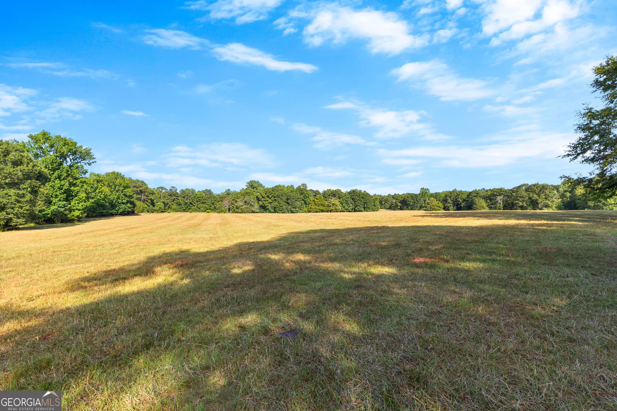 agriculture for sale at 4091 Hollonville Road, Williamson, GA 30292 — photo 6