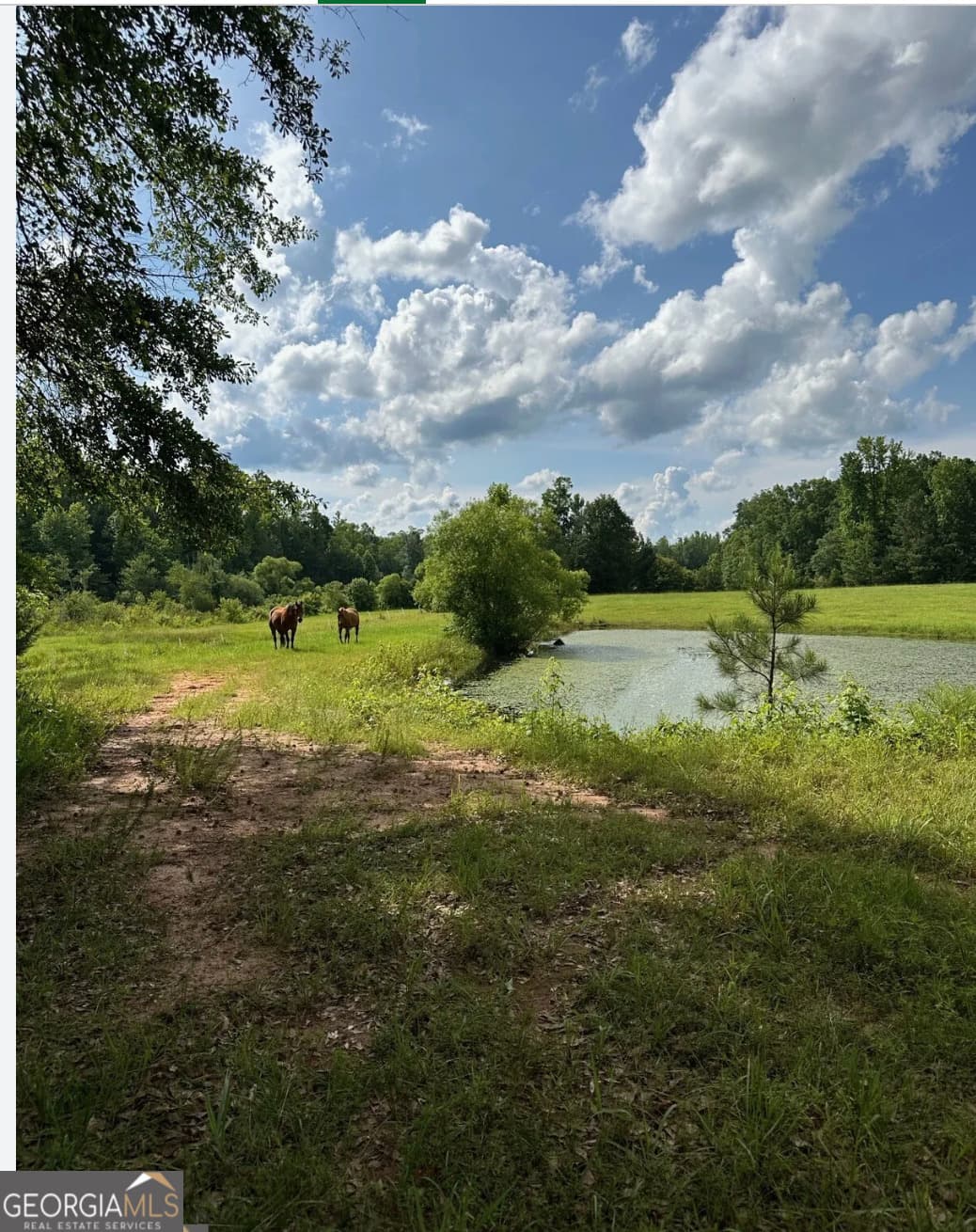 agriculture for sale at 4091 Hollonville Road, Williamson, GA 30292 — photo 7