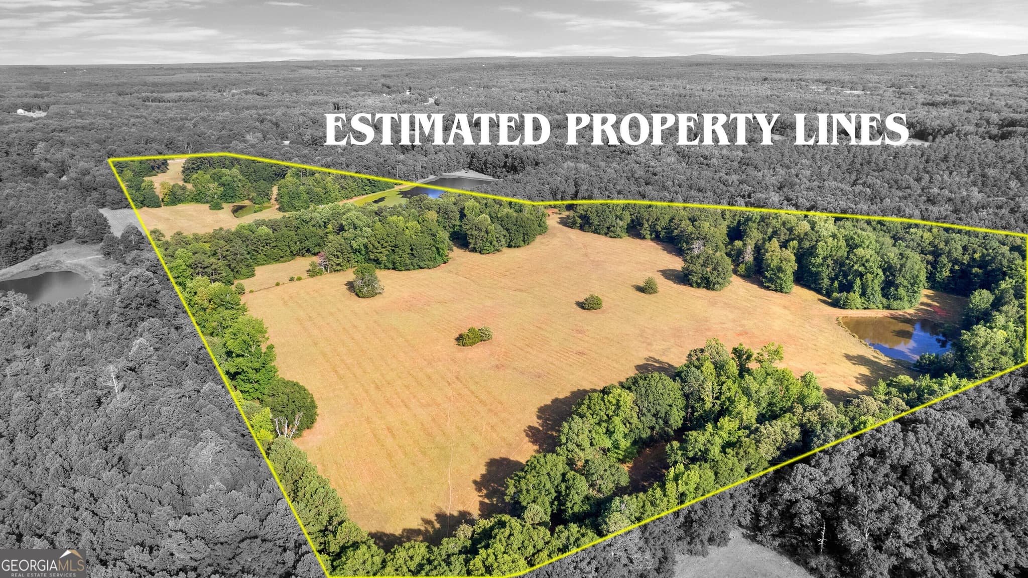 agriculture for sale at 4091 Hollonville Road, Williamson, GA 30292 — photo 3