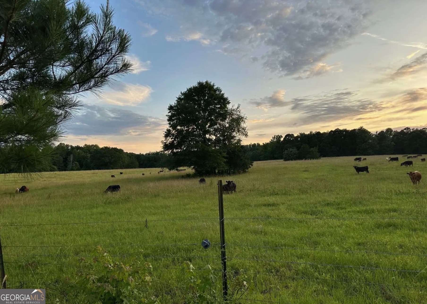 agriculture for sale at 4091 Hollonville Road, Williamson, GA 30292