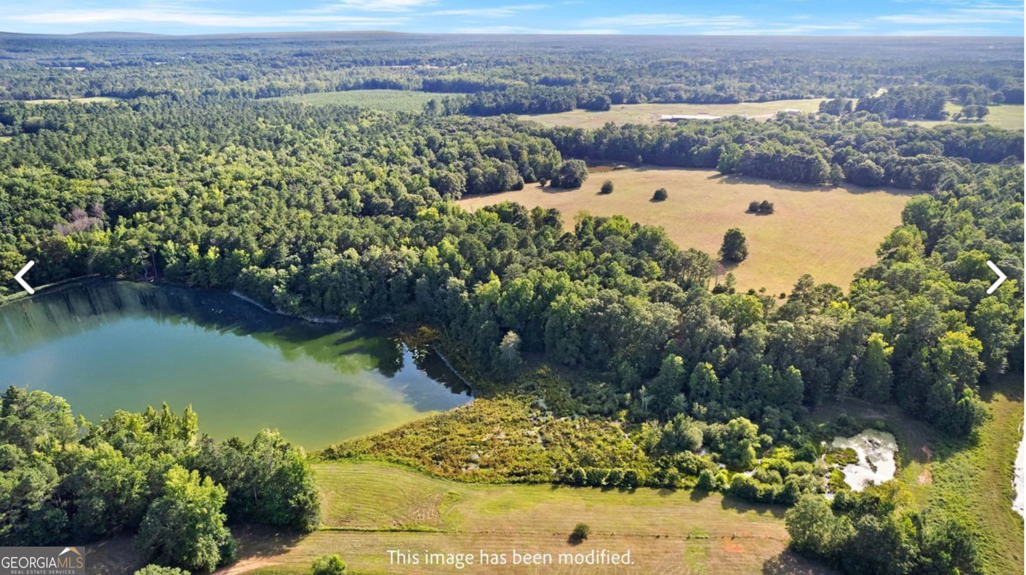 agriculture for sale at 4091 Hollonville Road, Williamson, GA 30292 — photo 5