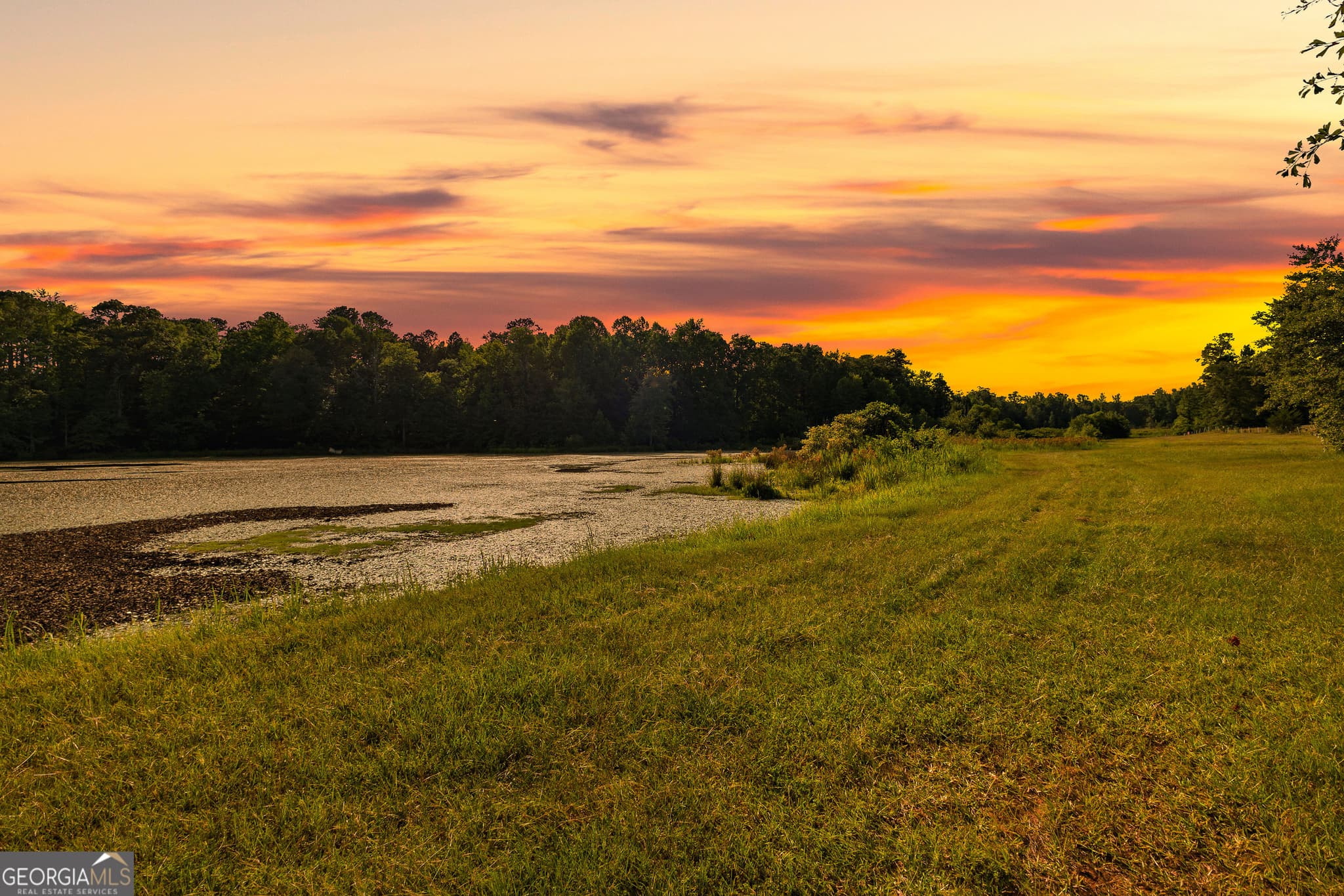agriculture for sale at 4091 Hollonville Road, Williamson, GA 30292 — photo 10