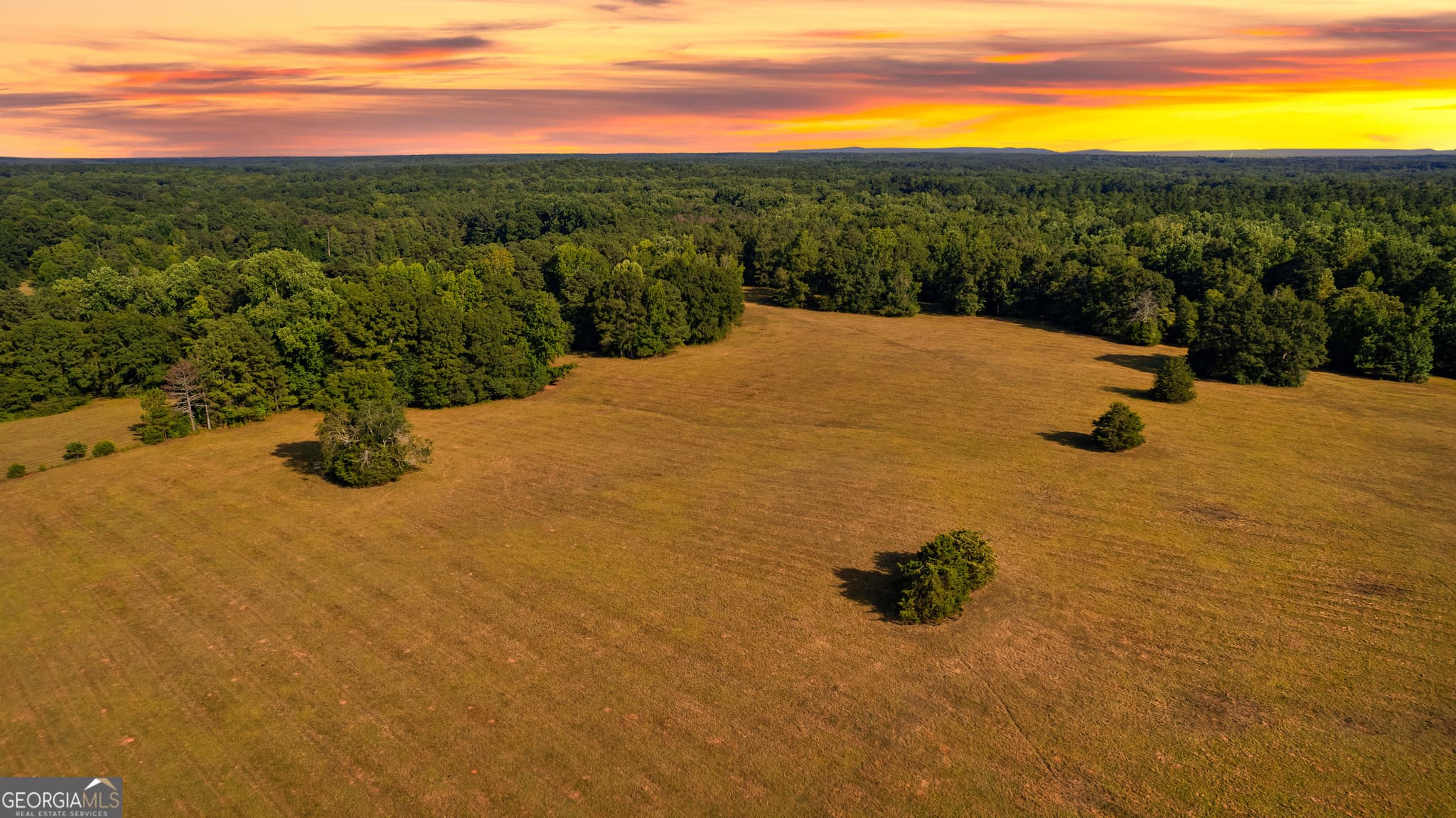 agriculture for sale at 4091 Hollonville Road, Williamson, GA 30292 — photo 4