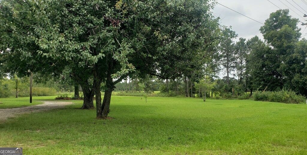 commercial for sale at 2876 Hwy 257, Dublin, GA 31021 — photo 5