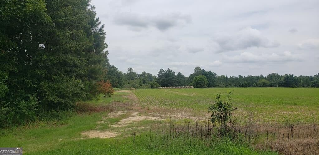 commercial for sale at 2876 Hwy 257, Dublin, GA 31021 — photo 9
