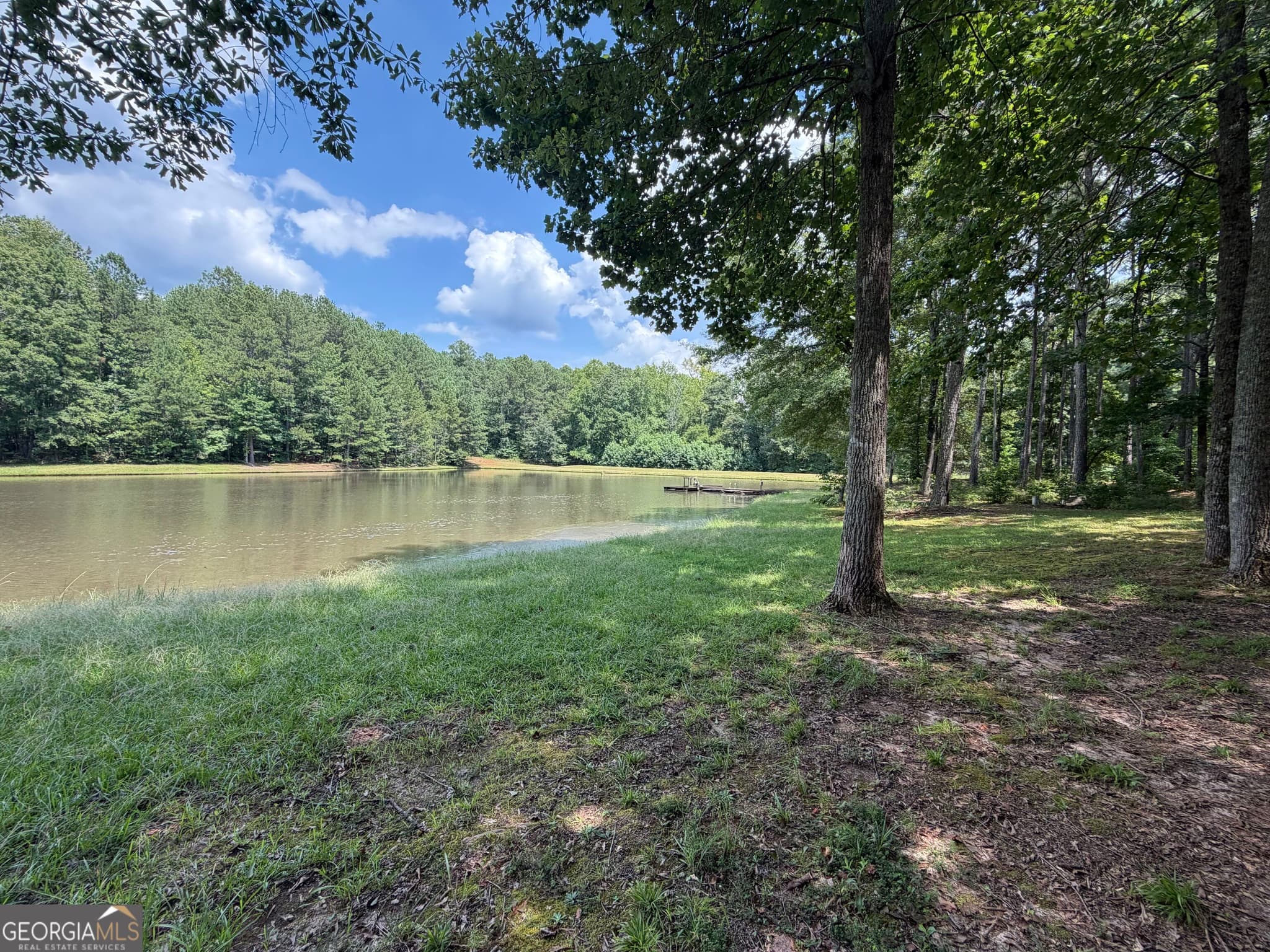 6 bedroom, 5 bathroom, 5,710 sq ft single family residence for sale at 1917 Al Roberts Road, Senoia, GA 30276 — photo 2