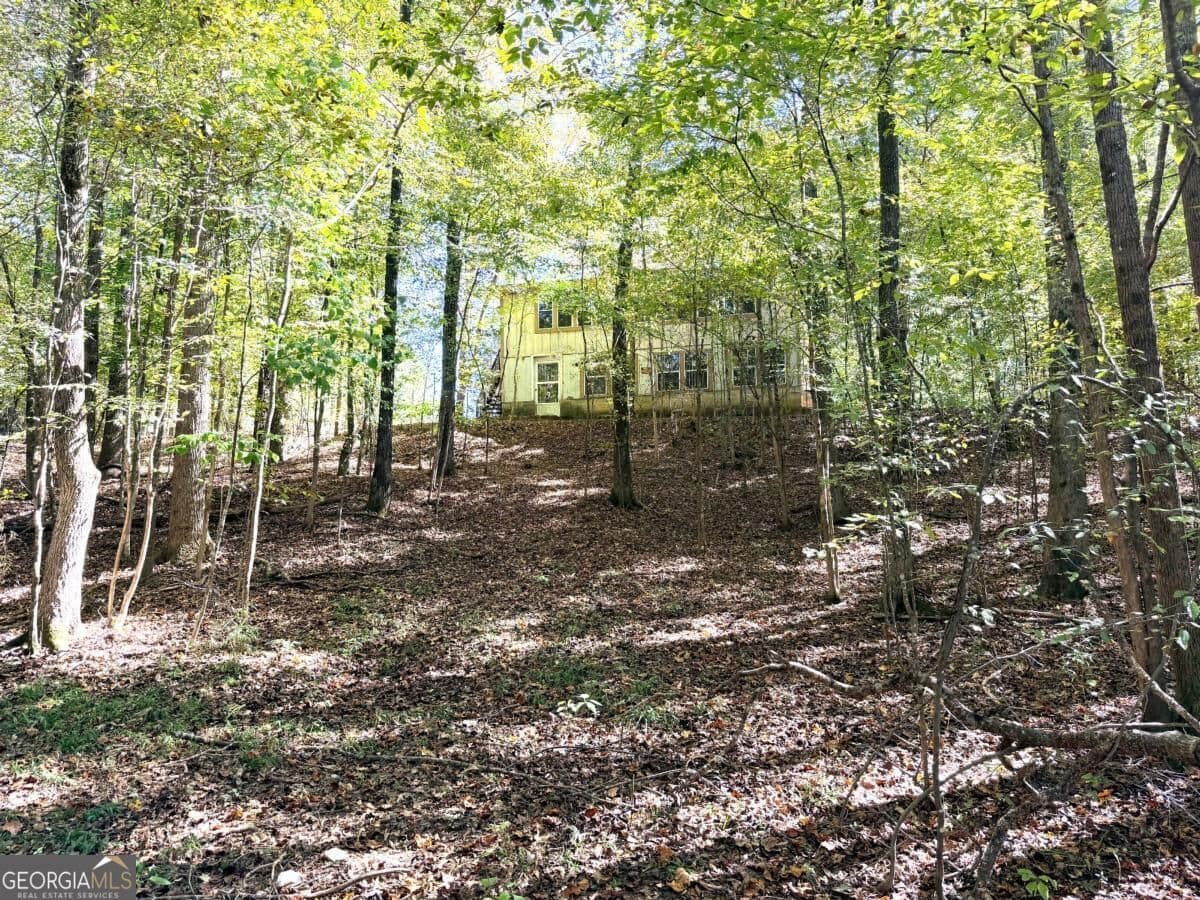 3 bedroom, 1 bathroom, 1,624 sq ft single family residence for sale at 0 Towaliga South Road, Jackson, GA 30233 — photo 2