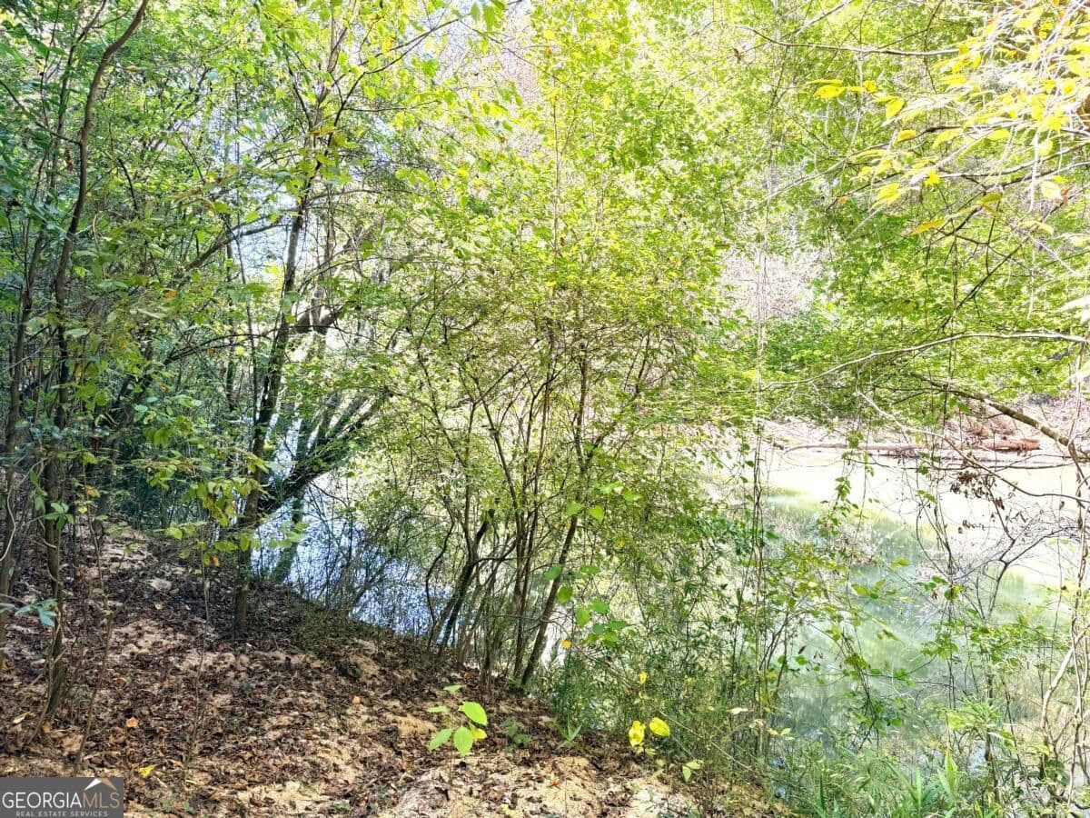 3 bedroom, 1 bathroom, 1,624 sq ft single family residence for sale at 0 Towaliga South Road, Jackson, GA 30233 — photo 3