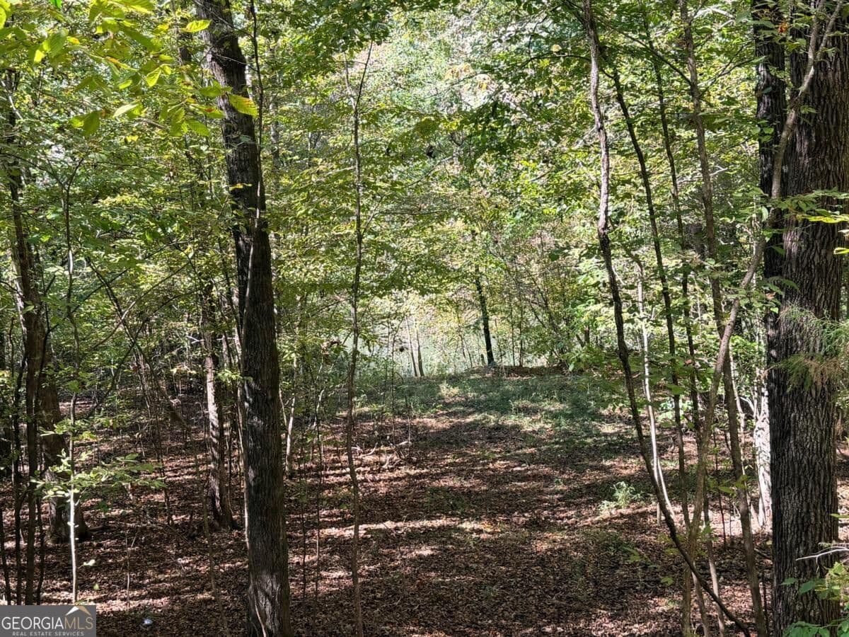 3 bedroom, 1 bathroom, 1,624 sq ft single family residence for sale at 0 Towaliga South Road, Jackson, GA 30233 — photo 5