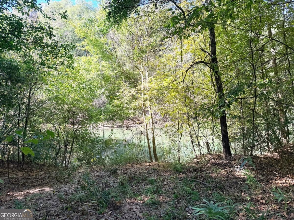 3 bedroom, 1 bathroom, 1,624 sq ft single family residence for sale at 0 Towaliga South Road, Jackson, GA 30233 — photo 4