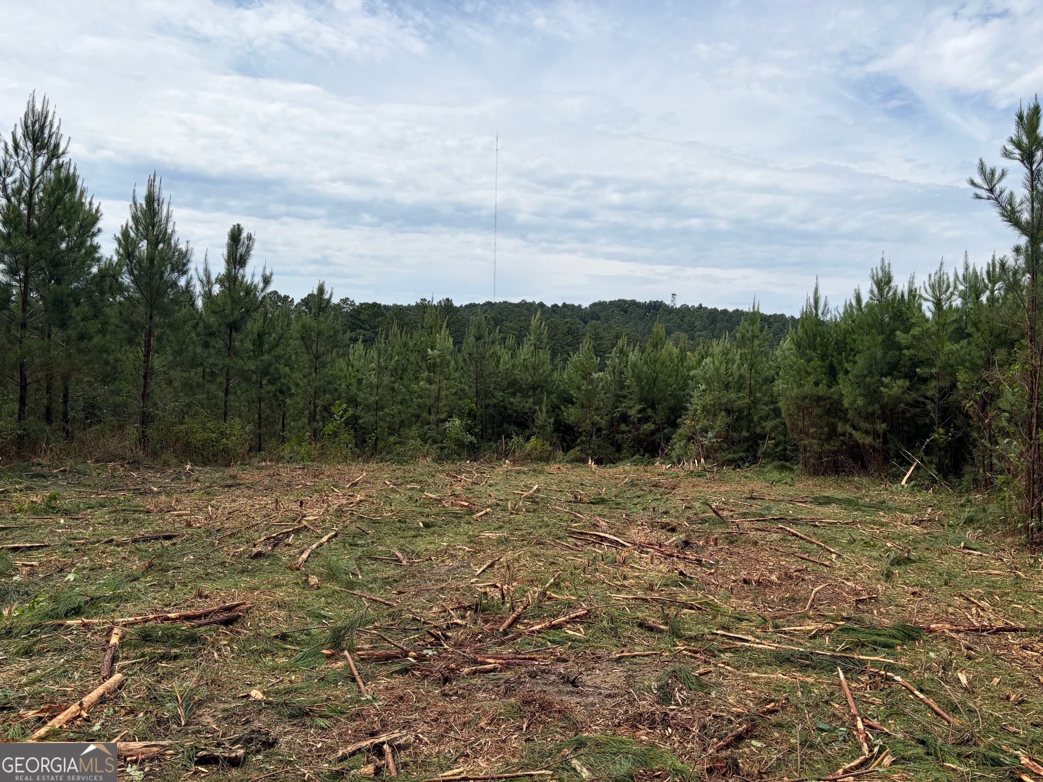 agriculture for sale at 0 John Kay Road, Taylorsville, GA 30178 — photo 2