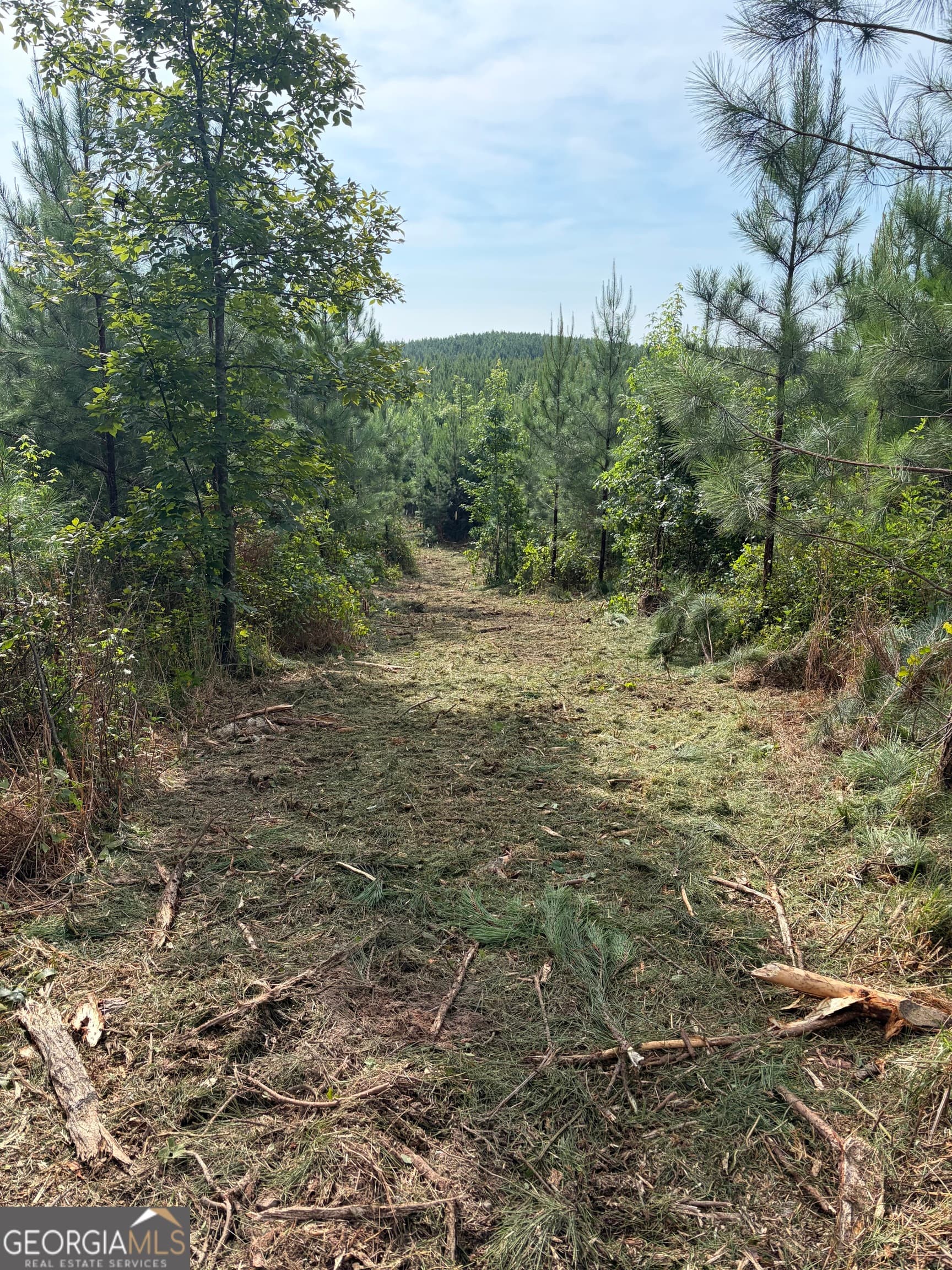 agriculture for sale at 0 John Kay Road, Taylorsville, GA 30178 — photo 3