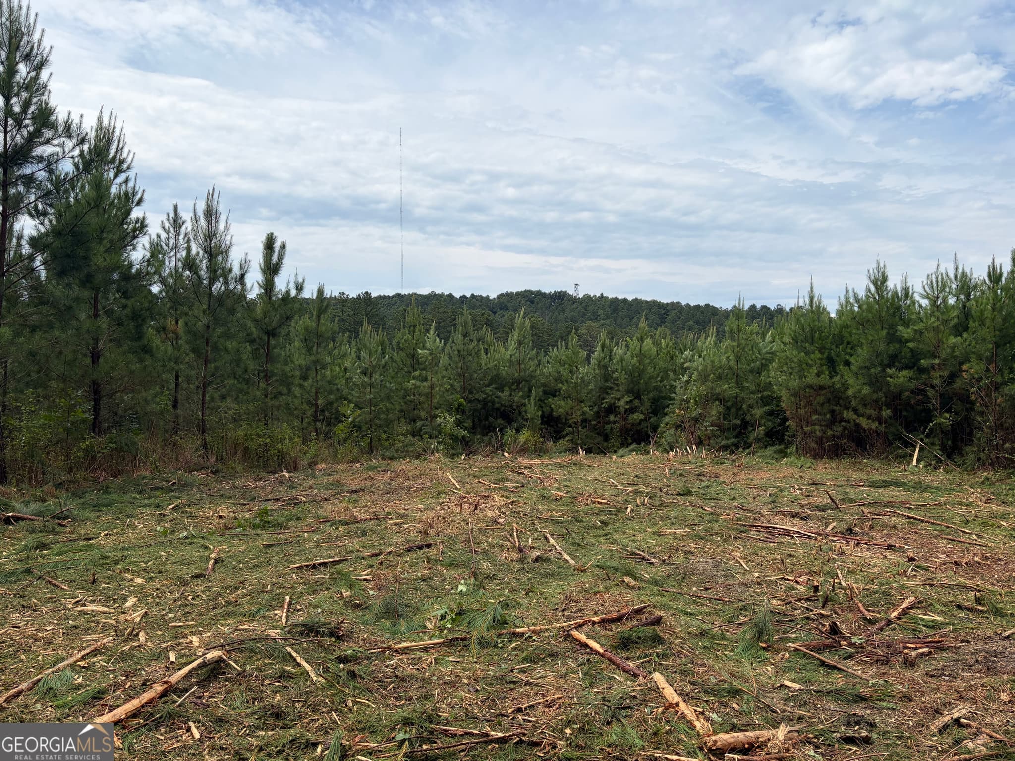 agriculture for sale at 0 John Kay Road, Taylorsville, GA 30178 — photo 4