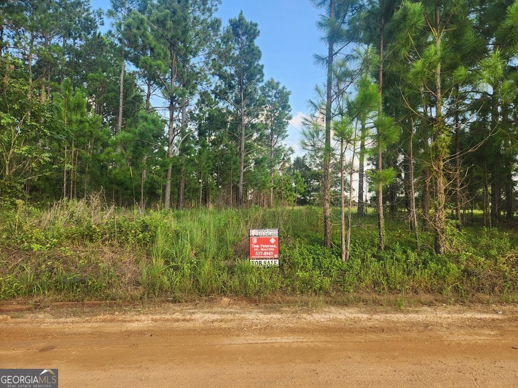 719 Adams Road, Uvalda, GA 30473 — most recent listing photo
