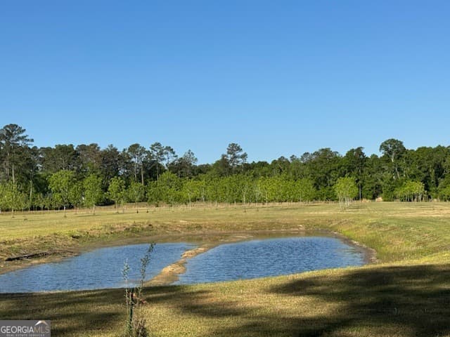 4 bedroom, 4 bathroom, 2,660 sq ft mixed use for sale at 176 Niederriter Lane, Vidalia, GA 30474 — photo 6