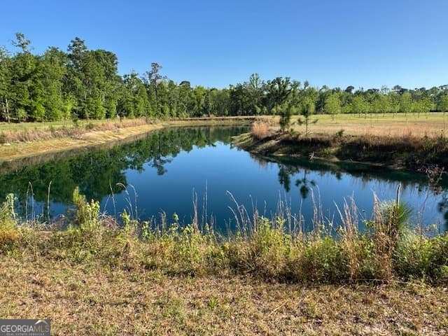 4 bedroom, 4 bathroom, 2,660 sq ft mixed use for sale at 176 Niederriter Lane, Vidalia, GA 30474 — photo 7