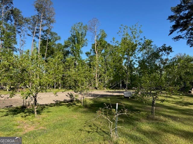 4 bedroom, 4 bathroom, 2,660 sq ft mixed use for sale at 176 Niederriter Lane, Vidalia, GA 30474 — photo 9