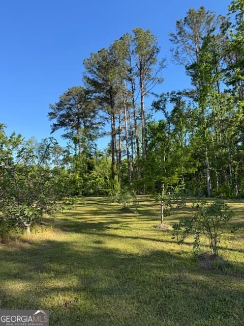 4 bedroom, 4 bathroom, 2,660 sq ft mixed use for sale at 176 Niederriter Lane, Vidalia, GA 30474 — photo 8
