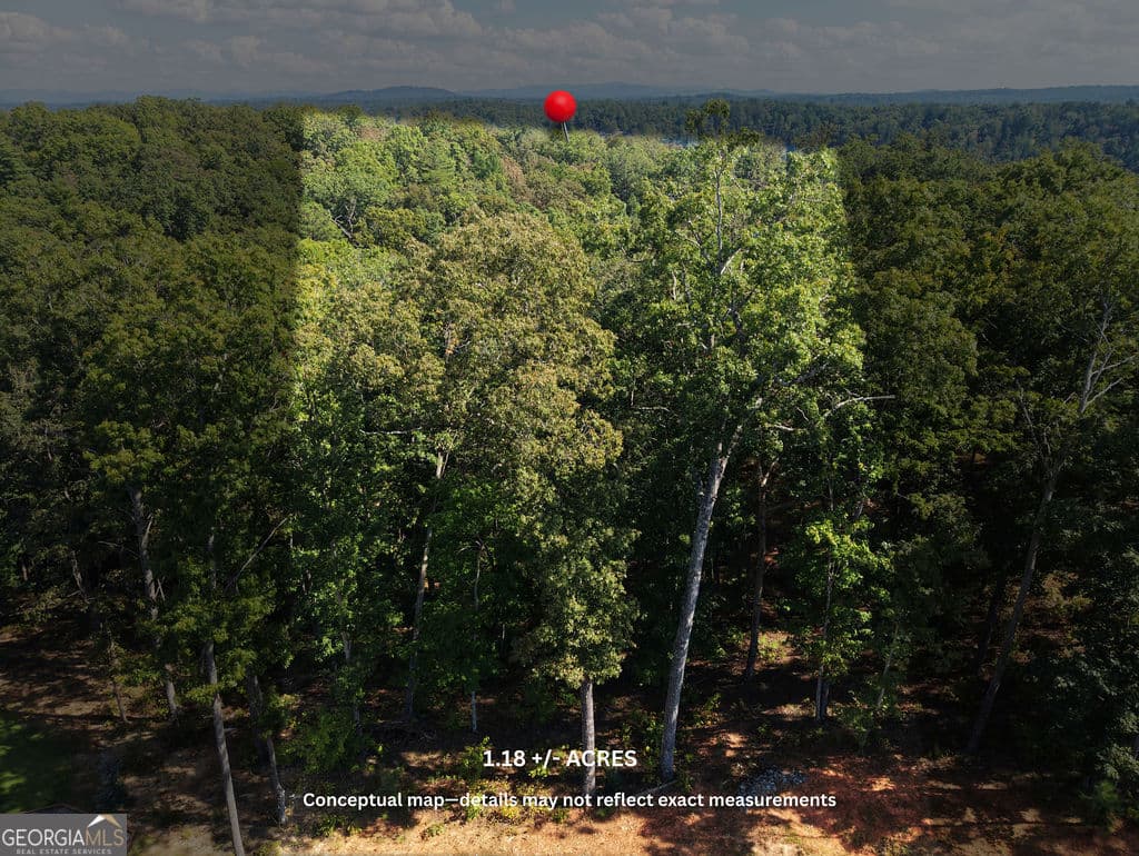 residential lot for sale at 21 Lake Top Lane, Ellijay, GA 30540 — photo 2
