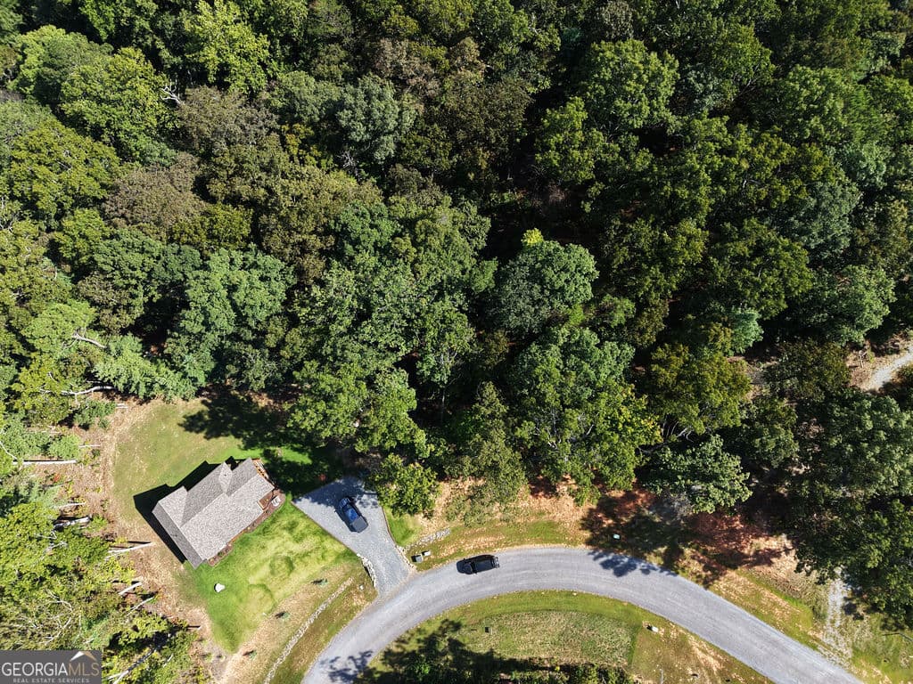 residential lot for sale at 21 Lake Top Lane, Ellijay, GA 30540 — photo 6