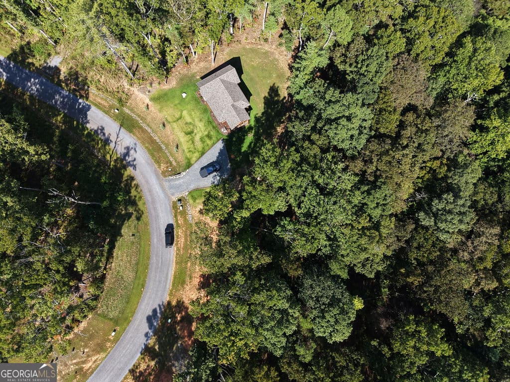 residential lot for sale at 21 Lake Top Lane, Ellijay, GA 30540 — photo 7
