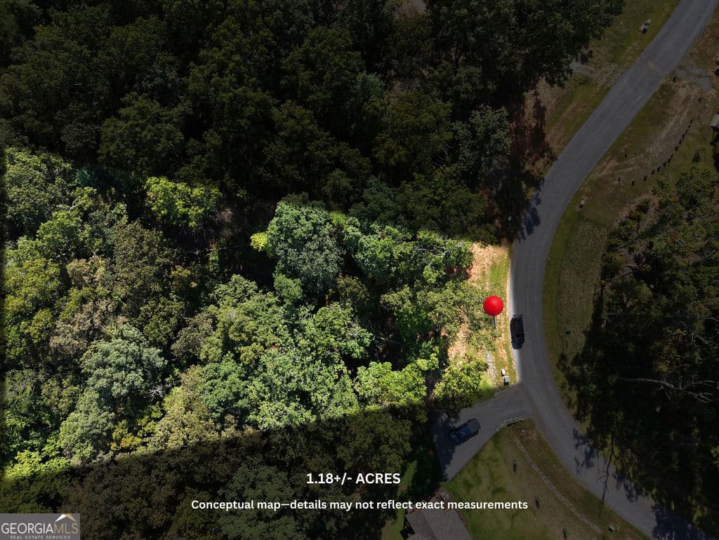 residential lot for sale at 21 Lake Top Lane, Ellijay, GA 30540 — photo 3