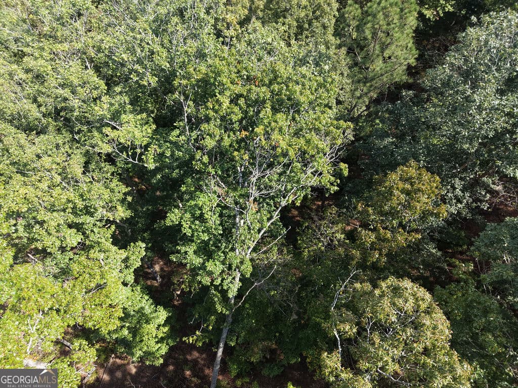 residential lot for sale at 21 Lake Top Lane, Ellijay, GA 30540 — photo 5
