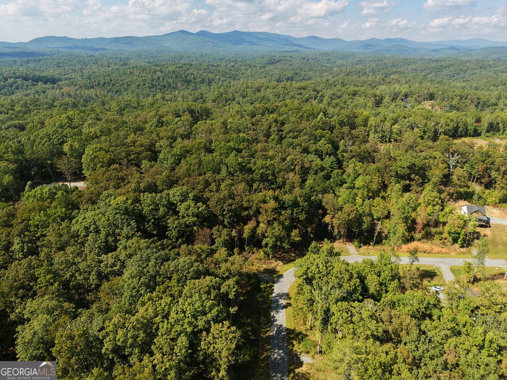 residential lot for sale at 21 Lake Top Lane, Ellijay, GA 30540 — photo 9