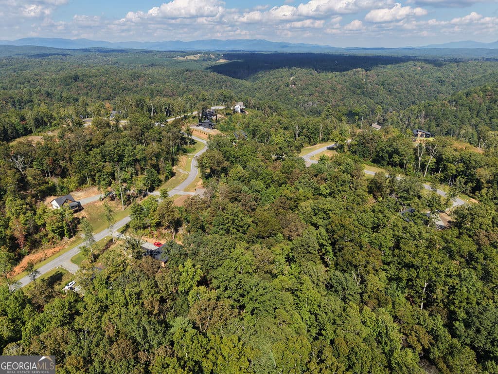 residential lot for sale at 21 Lake Top Lane, Ellijay, GA 30540 — photo 10