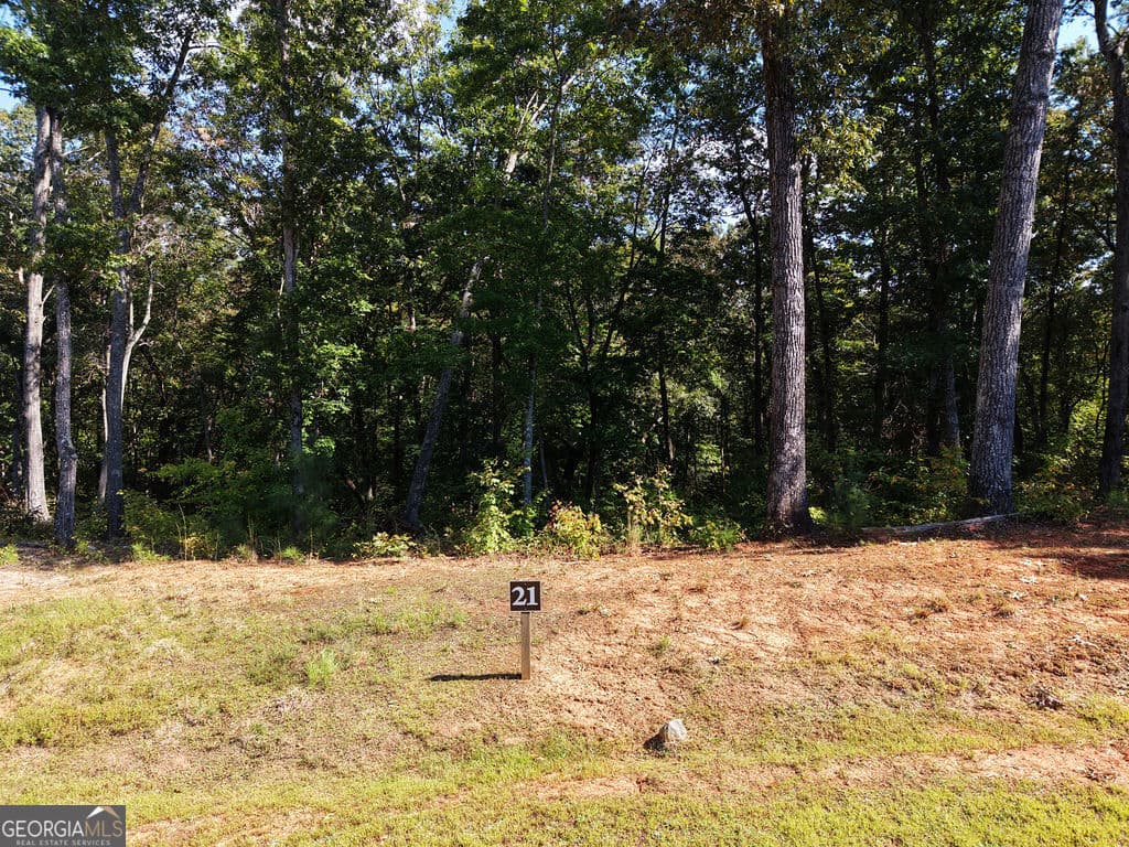 residential lot for sale at 21 Lake Top Lane, Ellijay, GA 30540 — photo 4