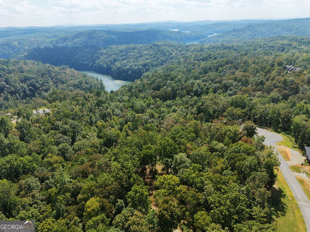 residential lot for sale at 21 Lake Top Lane, Ellijay, GA 30540 — photo 8