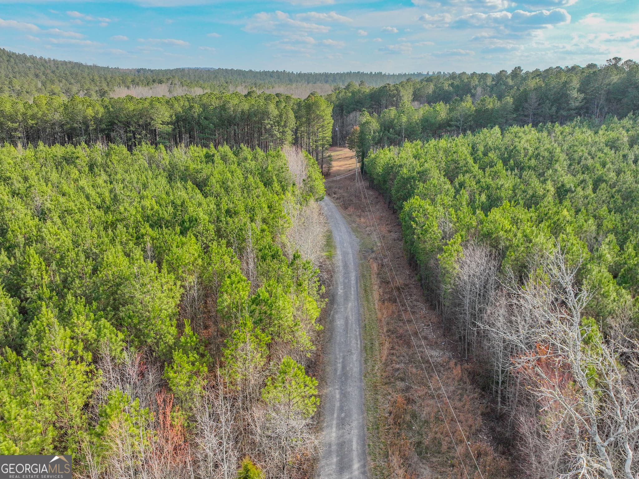 unimproved land for sale at 0 Hwy 411, Rome, GA 30161 — photo 9