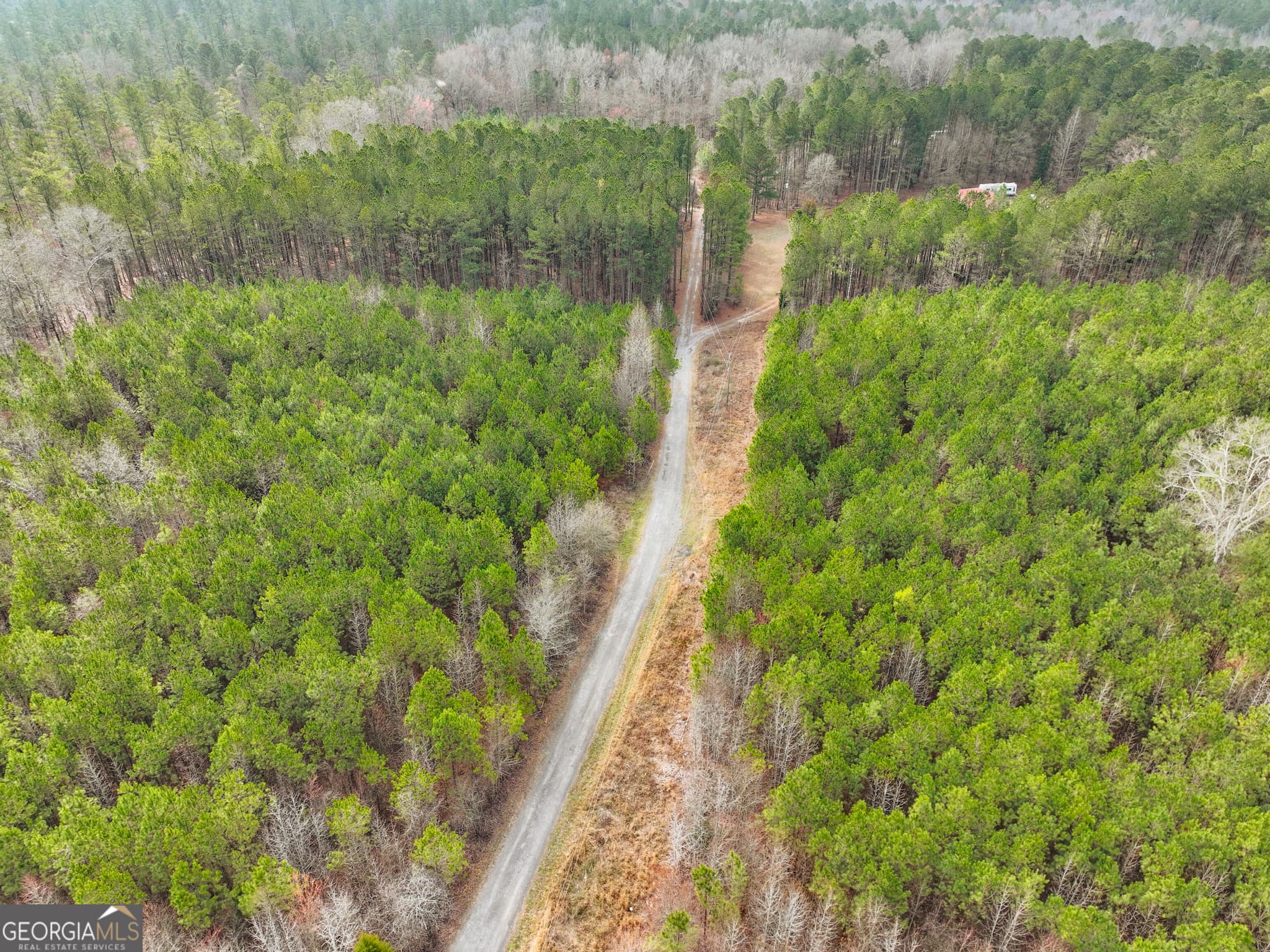 unimproved land for sale at 0 Hwy 411, Rome, GA 30161 — photo 10