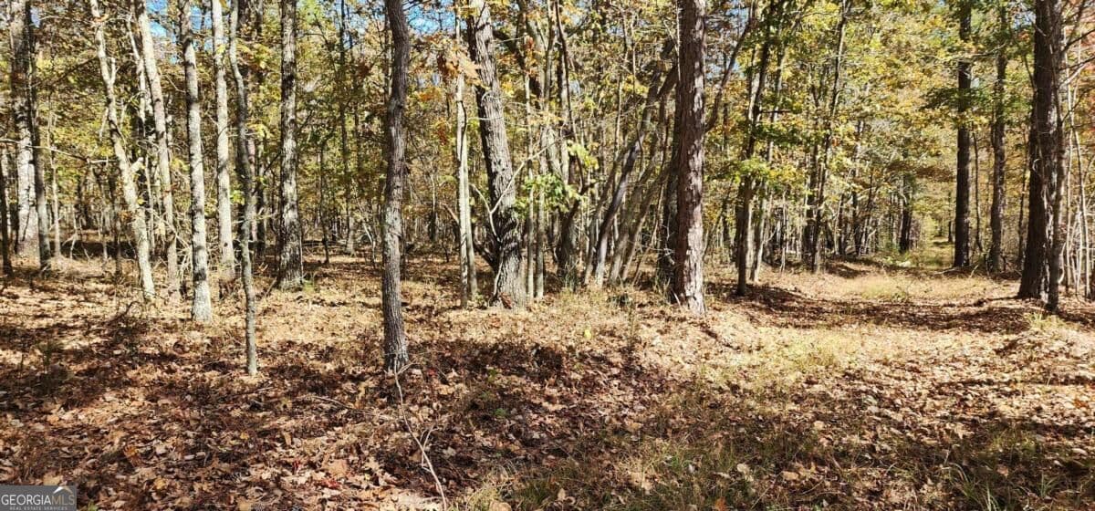 unimproved land for sale at 0 Hwy 411, Rome, GA 30161 — photo 4