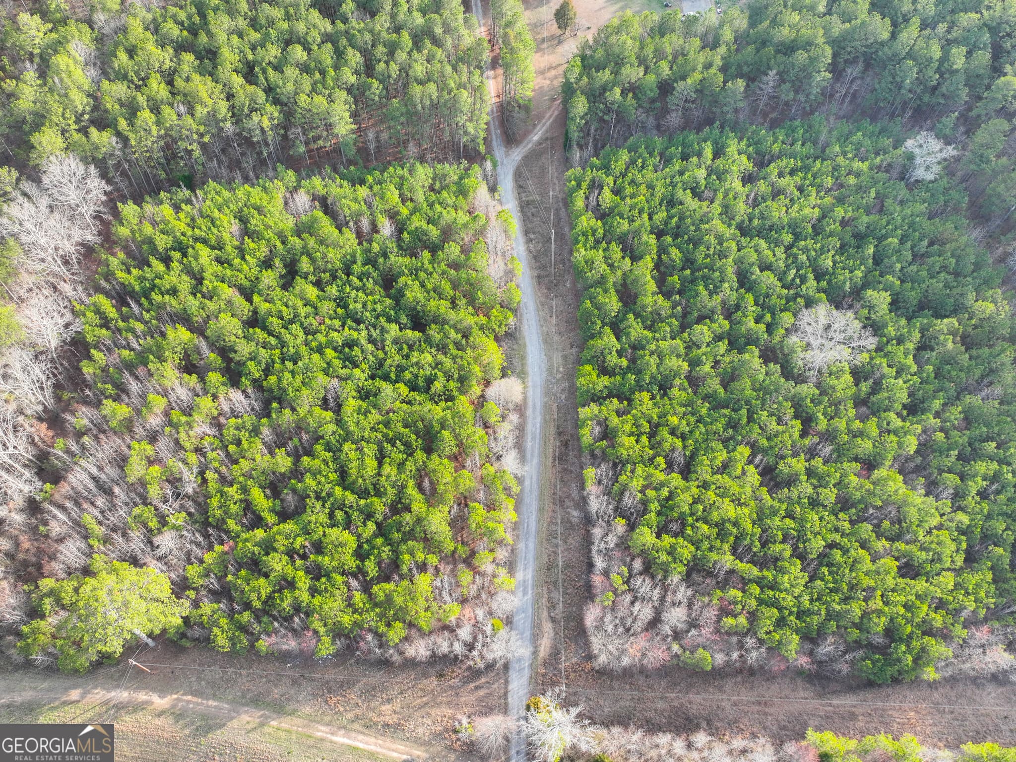 unimproved land for sale at 0 Hwy 411, Rome, GA 30161 — photo 8