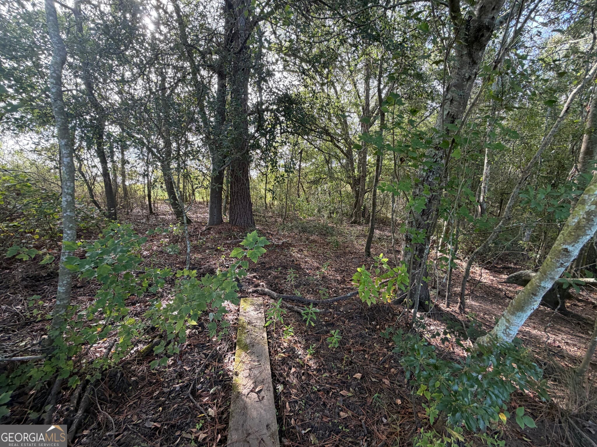 agriculture for sale at 7.5 ACRES Cemetery Road, Rochelle, GA 31079 — photo 6