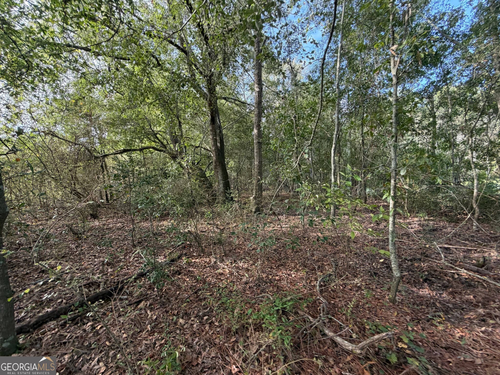 agriculture for sale at 7.5 ACRES Cemetery Road, Rochelle, GA 31079 — photo 5