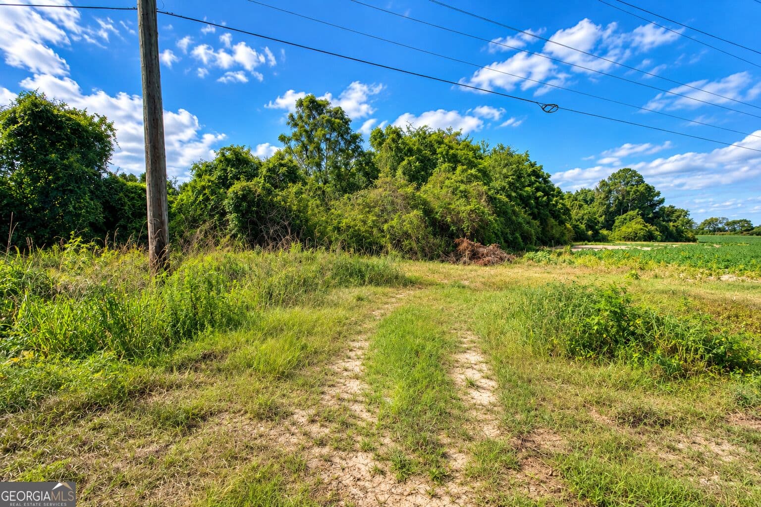 agriculture for sale at 7.5 ACRES Cemetery Road, Rochelle, GA 31079 — photo 4