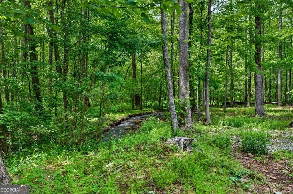 3 bedroom, 2.5 bathroom, 1,503 sq ft cabin,single family residence for sale at 1 Thurmond Walker Road, Dahlonega, GA 30533 — photo 9